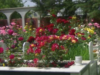 yara benim Hasan Dursun