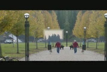 Elena Mirrow's Last Warning 🕯️