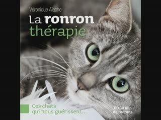 La ronronthérapie, ces chats qui nous guérissent