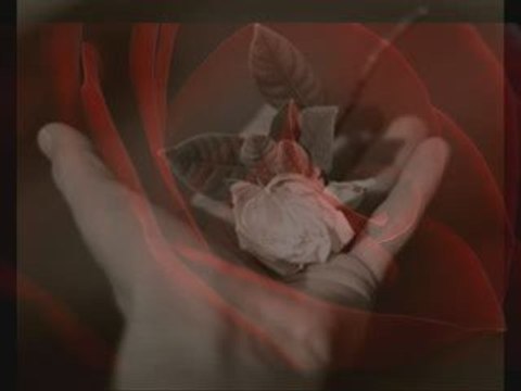 Истинските неща от живота