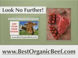 organic meat grass fed beef organic beef natural beef