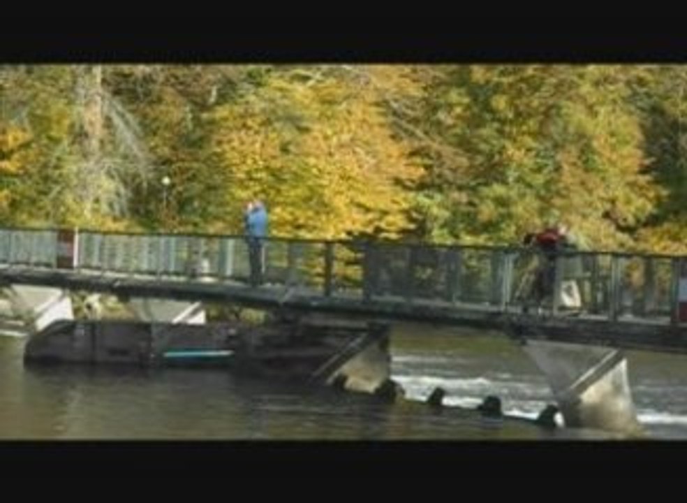 Beaulieu sur Dordogne