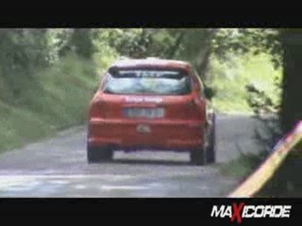 suran 2009 Cédric GARDONI et Fred BUELLET 206 RC team ODDOUX