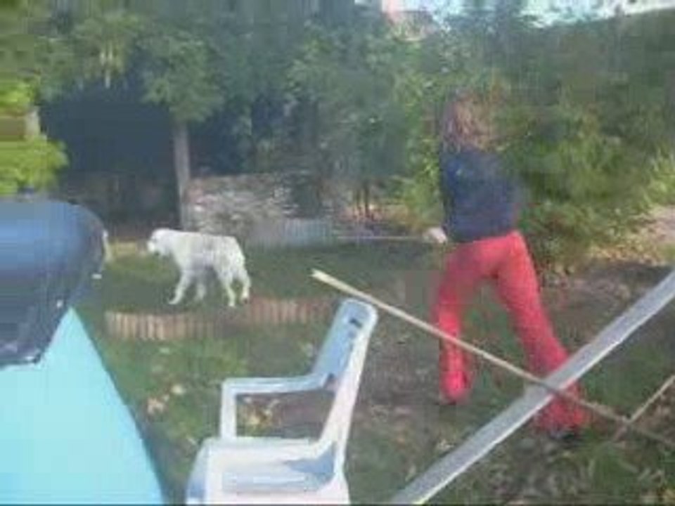 saia en obstacle  ___ parcours