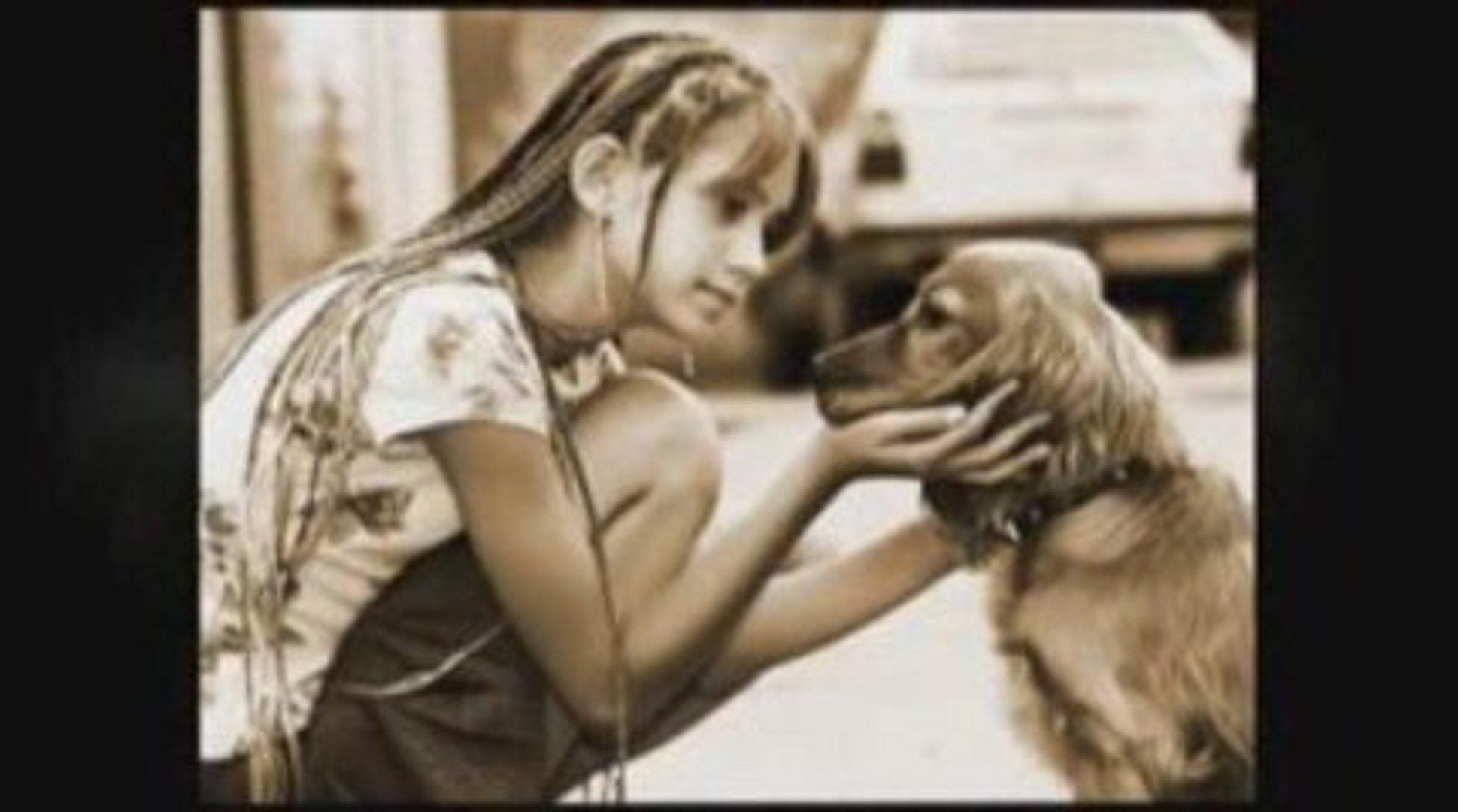 ⁣Secrets to Dog Training