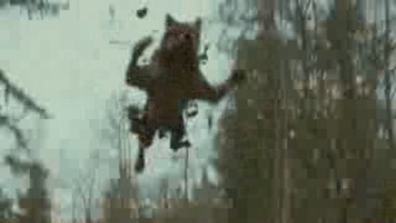 THE TWILIGHT SAGA- NEW MOON TV Spot - -Save Her-) ,