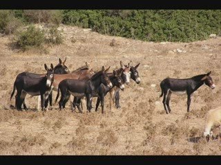 Cyprus - Heaven in the Earth (edited by Burak)