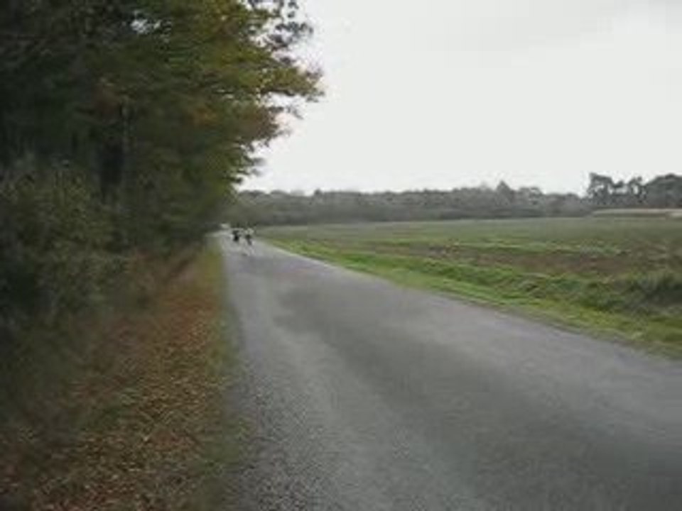 nitro et stuntro 4