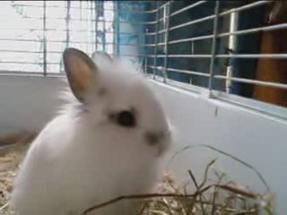 Titouu a jamais dans mon coeur ..