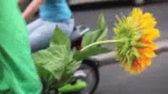 Digitagent Prod et Réalisation