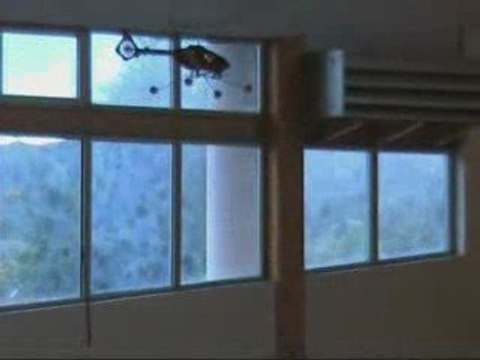 Alain D. et son Lama 400