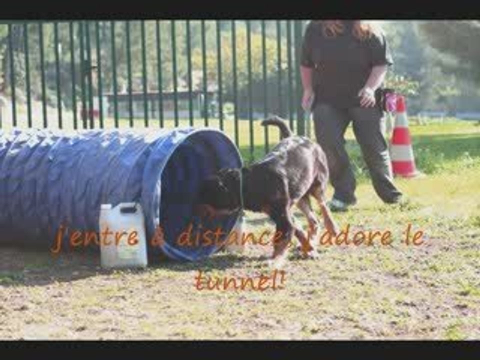 Euskadia à l'agility