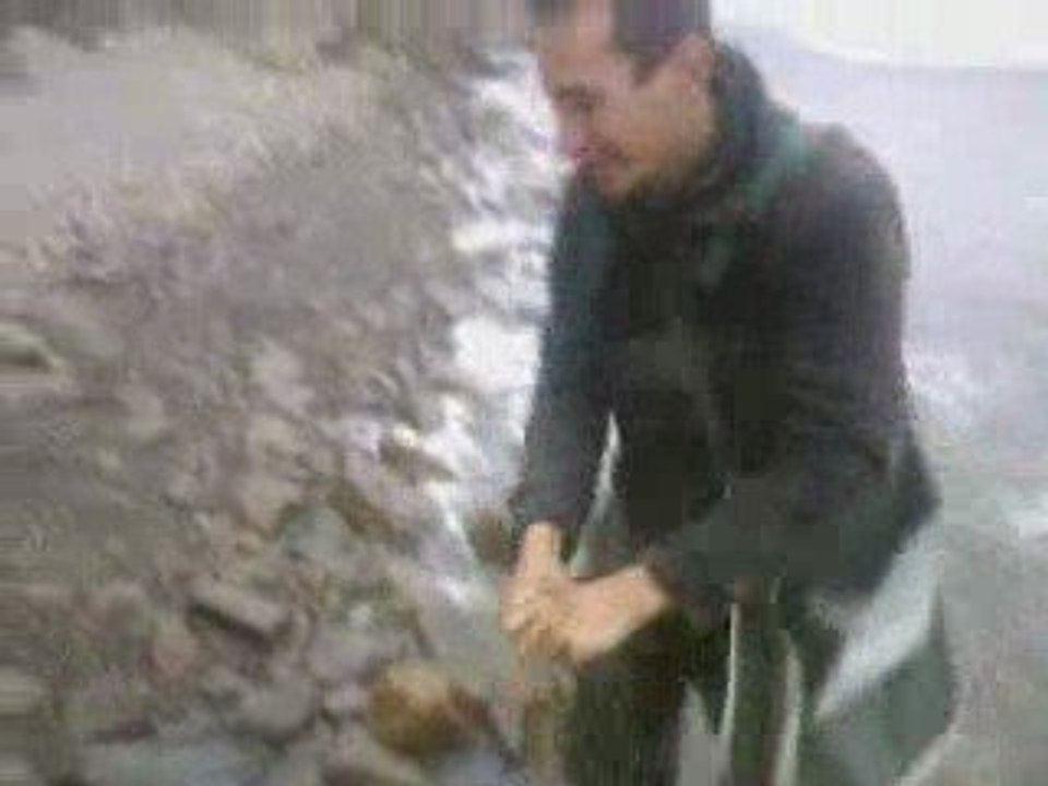 tayyar2