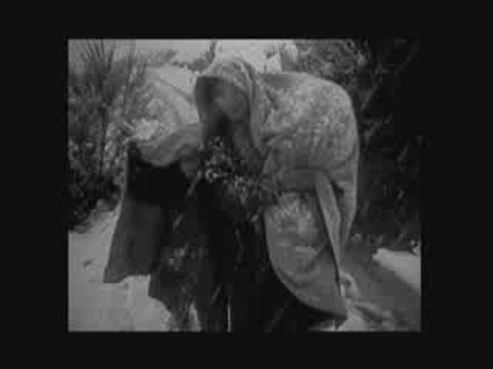 David YON / FID 2009 / Extrait