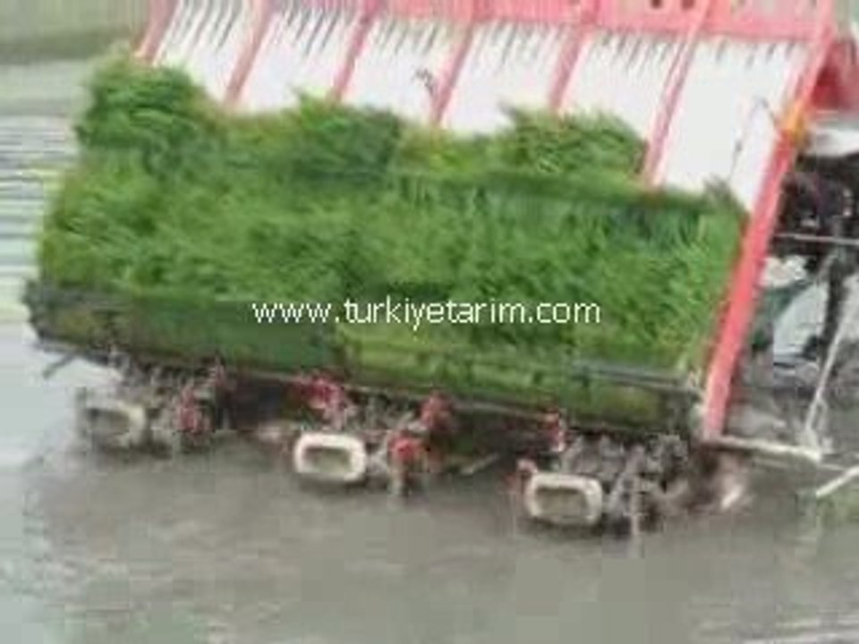 çeltik ekme makinası