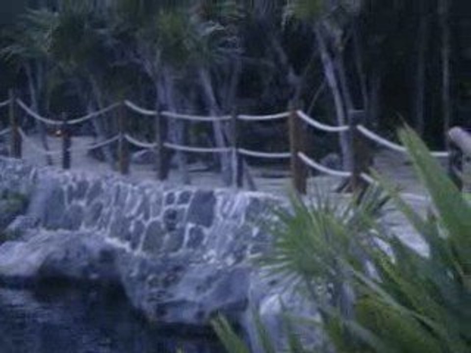 PARC XEL-HA AU MEXIQUE