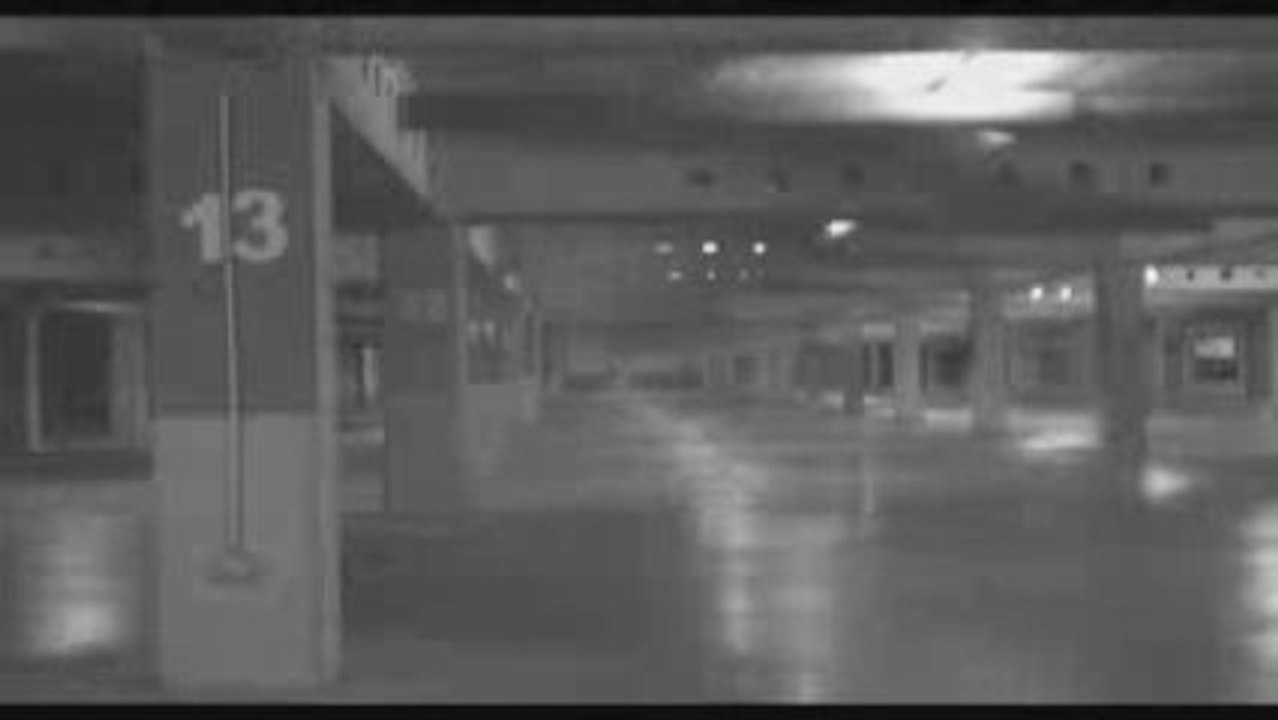 Morometzii - Apel la mase 2009