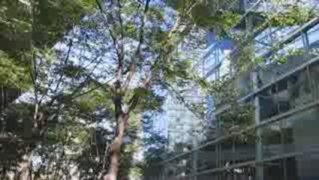 Safari Photo en Rollers dans Tokyo - partIII