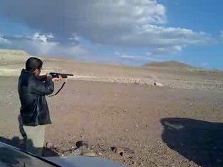 Kürşat'ın Tüfeğiyle Yeni Balık Avı Macerası 🎣