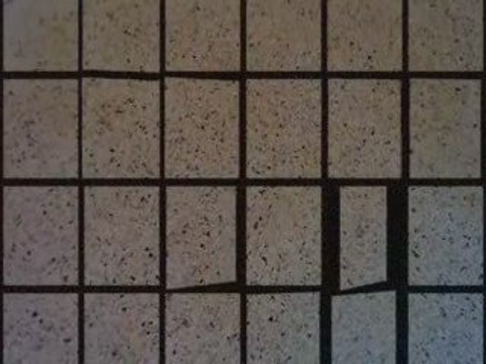 Fort Lauderdale Terrazzo Installation Repair