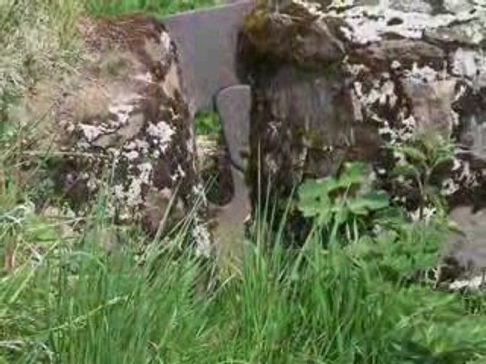 Terre meurtrie