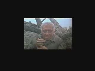 Холодное лето 53-го финал