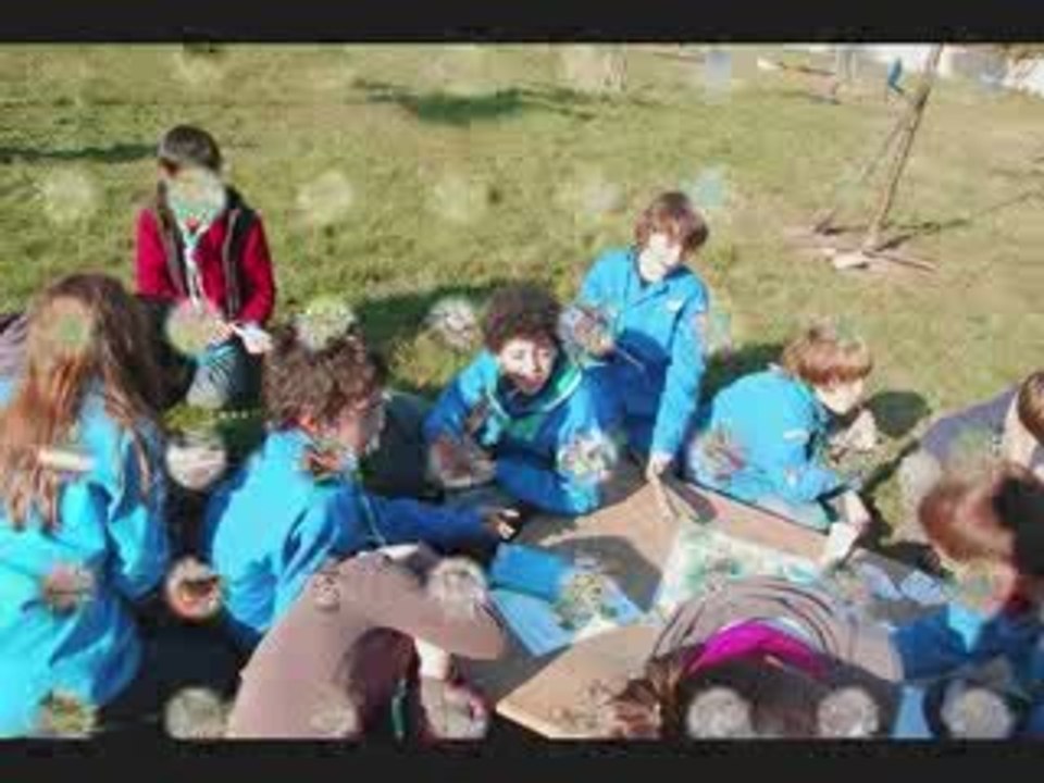 scout de saint gemain