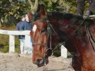 Osiris...3 ans de rêve