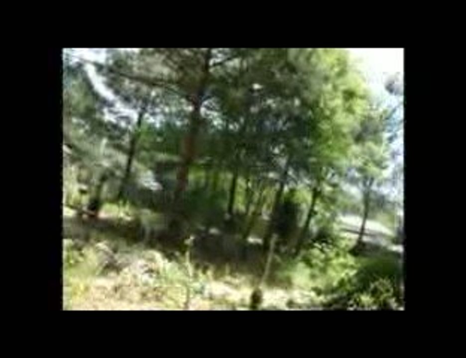 2009 Home Video #4