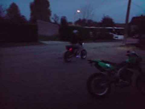 Guigui Drd Pot Scr Corse