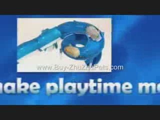 Everything you need to know about Zhu Zhu Pets