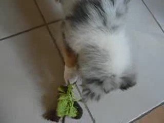 Eden et sa corde à noeuds