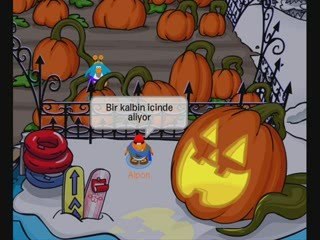 alpondan aşk-ı virane