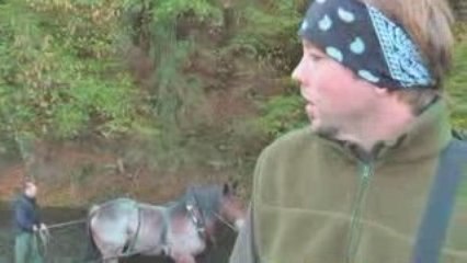 Semeries cheval de trait