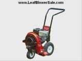 Leaf Blowers