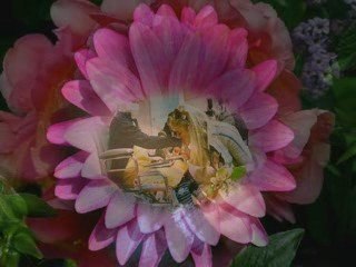 Bóg się mamo nie pomylił