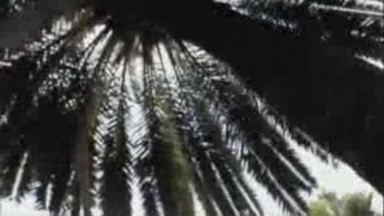 ANDALUCIA-ROADMOVIE- Barcelone/ Séville/ Huelva/ PuntaUmbria