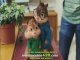 Alvin and The Chipmunks The Squeakquel Trailer