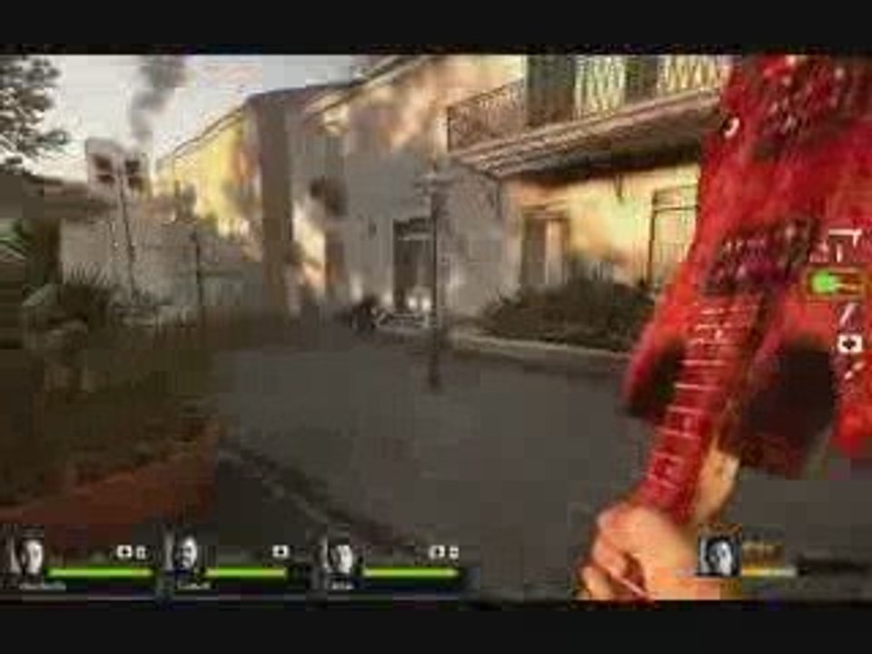 Video avec un ours et une demo