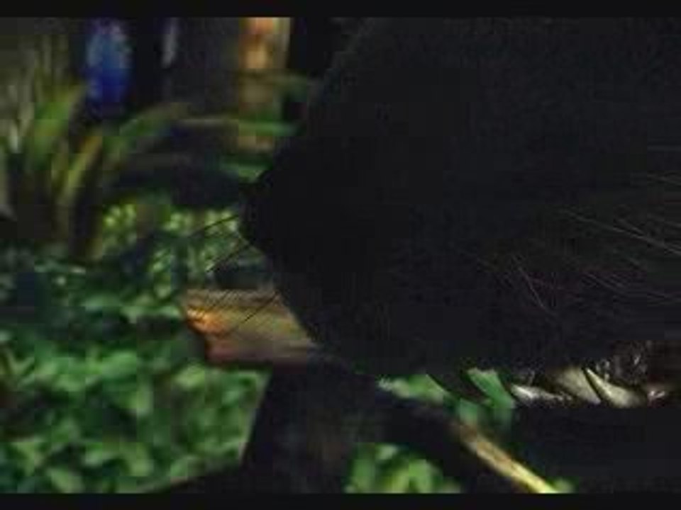 Chrono Cross - Cinématique 017