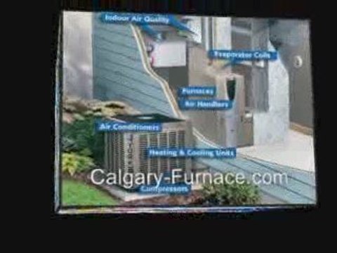 Calgary Furnace Goes Wild! | Calgary-Furnace.com