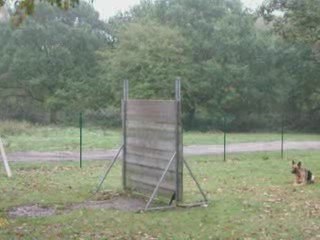 saut palissade Bellis oct 09