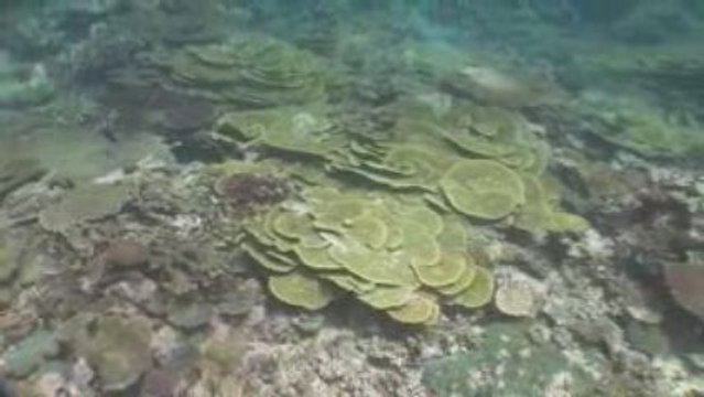 Matava Resort - Kadavu, Fiji Islands