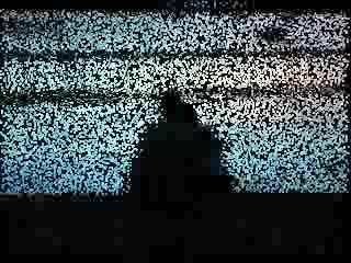 "only memories survive"