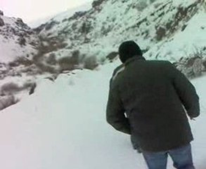 31012009004