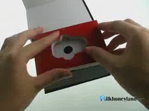 4GB DVR Digital Video Recorder Spy Camera