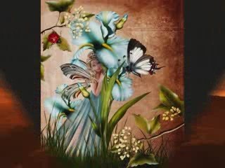 Le 30 octobre 2009_0001