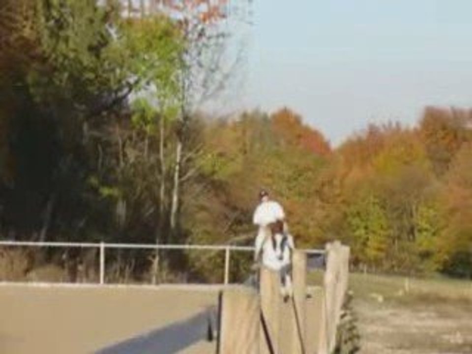 1er départs galop sages dans la carrière avec Spirit