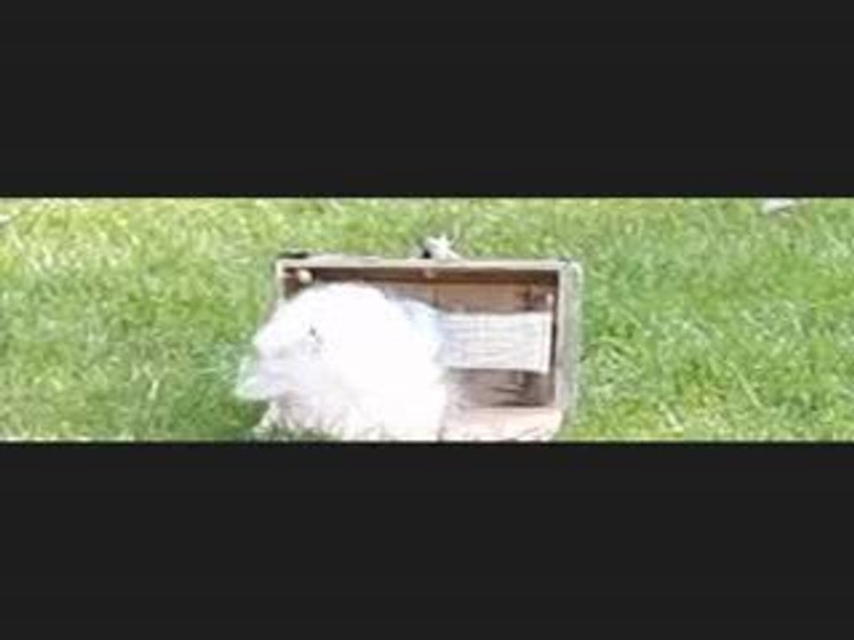 mine airsoft test camera haute vitesse