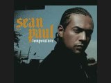 DJ TITOU / Sean Paul - Temperature Remix